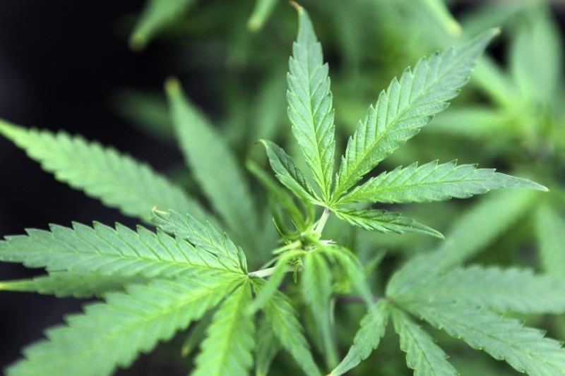 Koios Beverage Corp (OTCMKTS: KBEVF): Time To Buy The Dip