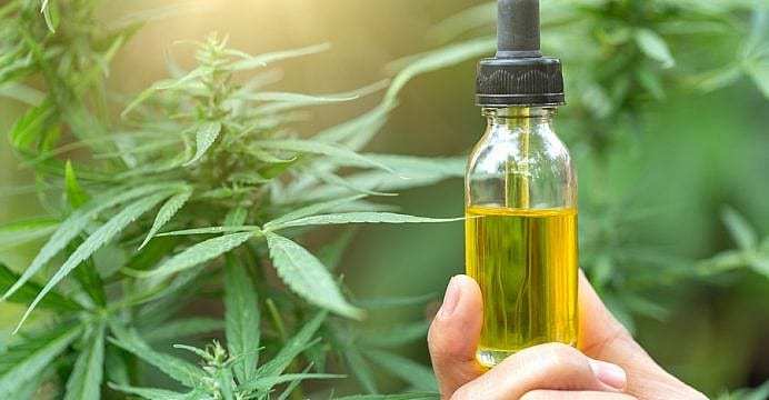 Valens Groworks Corp (OTCMKTS: VGWCF) Bull Trend Set To Continue