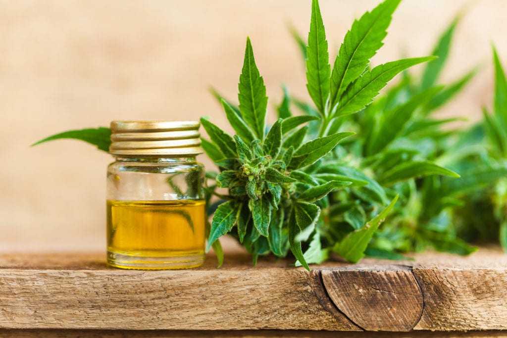 PotNetwork Holdings Inc (OTCMKTS:POTN) Turning Bullish