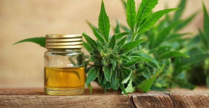 Why HempAmericana Inc (OTCMKTS: HMPQ) Is Up 90%