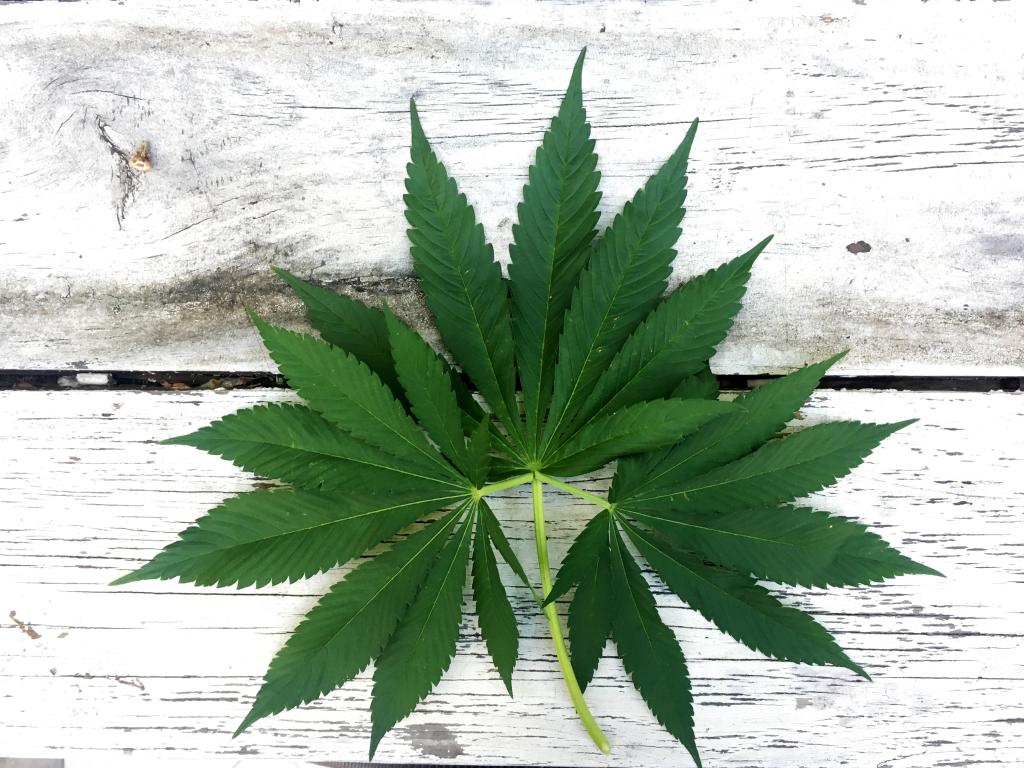 Singlepoint, Inc. (OTCMKTS: SING) Latest Acquisition Affirms Its Position In The Renewable Energy Market