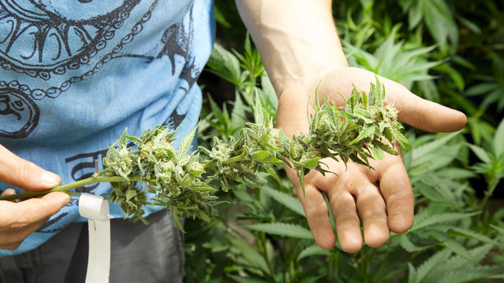 Helix TCS Inc (OTCMKTS:HLIX) Further Upside Likely After Correction