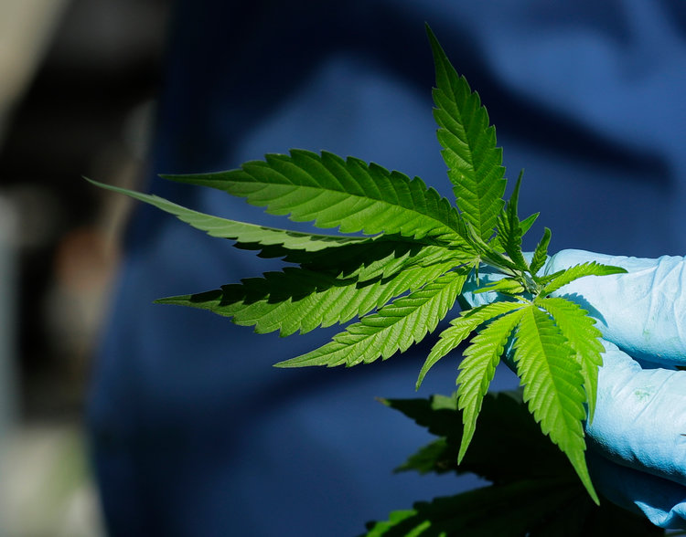 MPX International Corp (OTCMKTS: MPXOF) Turns To Acquisitions To Reinvigorate Growth Prospects