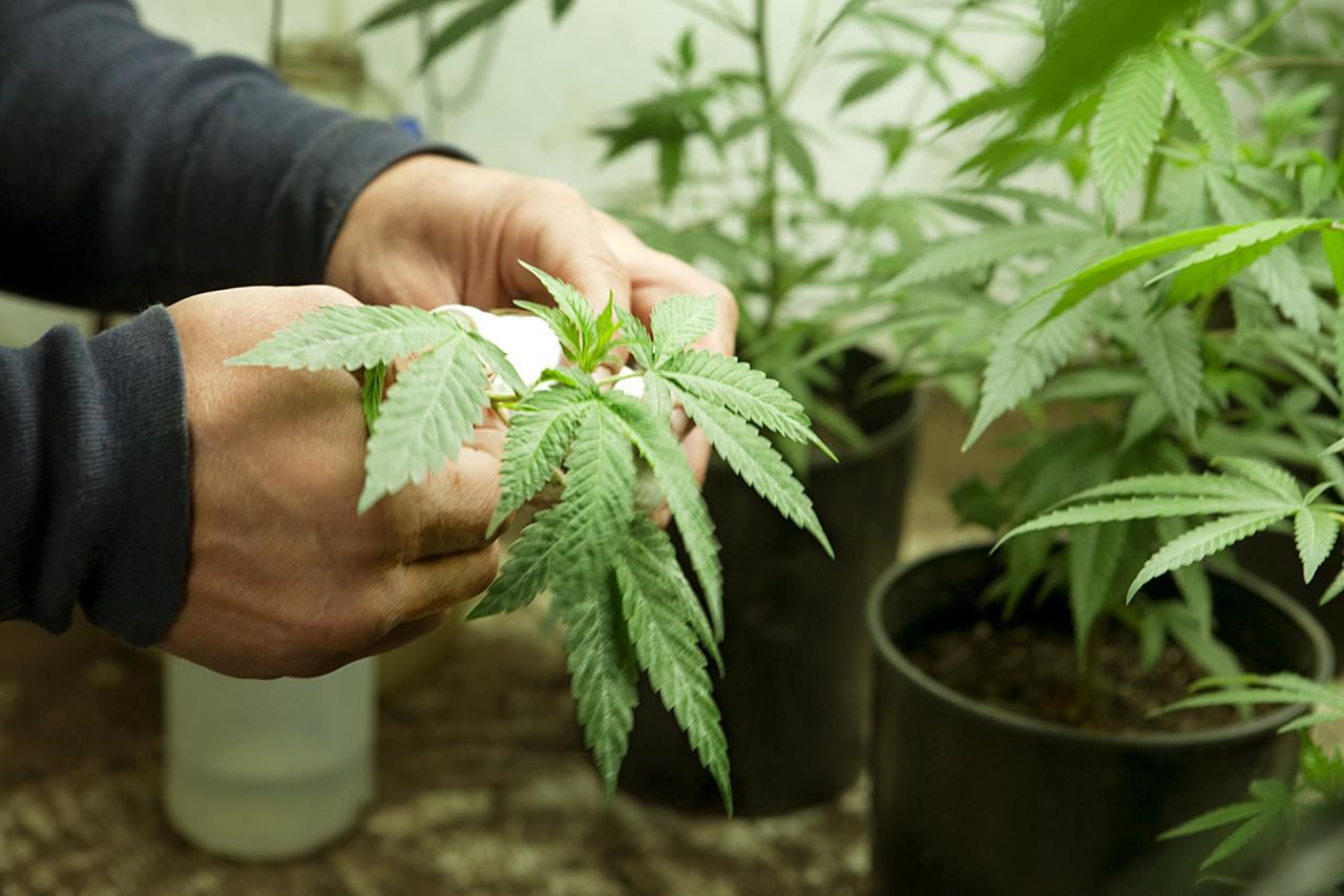 Lifestyle Delivery Systems Inc (OTCMKTS:LDSYF) Is Due For A Bounce