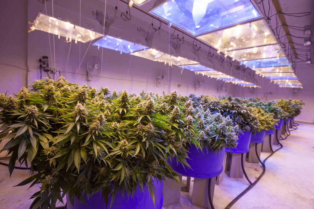 Two Rivers Water and Farming (OTCMKTS: TURV) A Strong Rebound Play