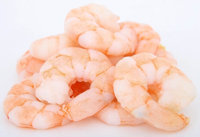 NaturalShrimp Inc (OTCMKTS: SHMP) Climbing the Ladder As The Future of Shrimp Production