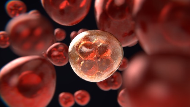 PharmaCyte Biotech Climbing Back Up The Charts