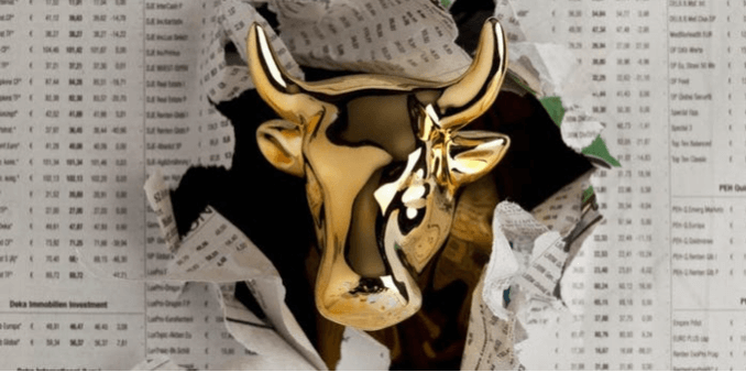 Bull