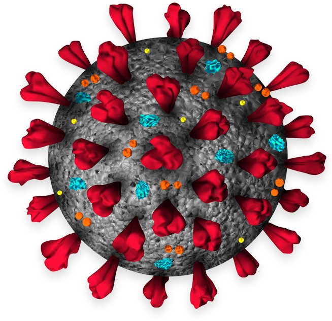 3D model of coronavirus