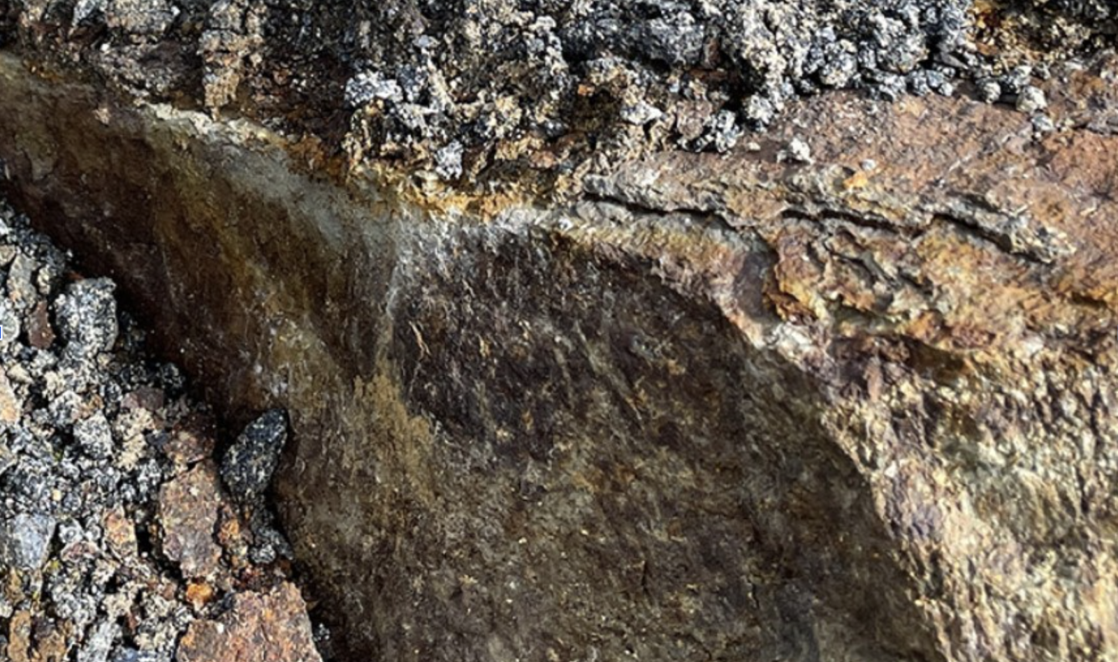 Igneous phosphate offers higher purity than sedimentary deposits