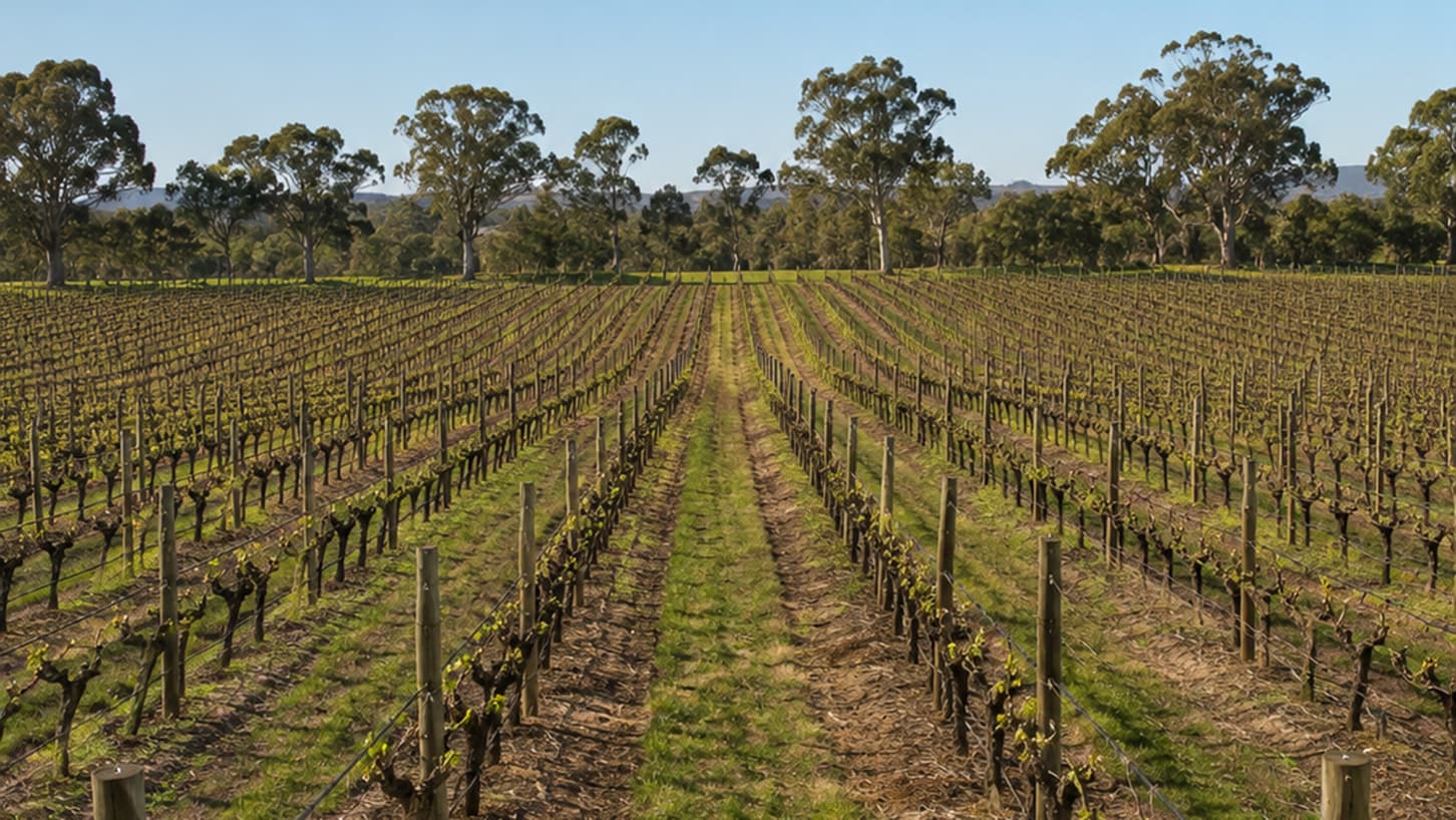 WET Producer Rebate Cap Increase