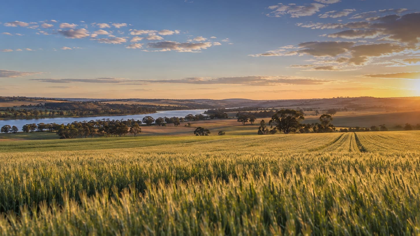 Market Update & Budget Reform: What Does It Mean for Farming Families?