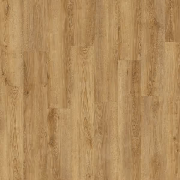 Elements XL - 500 Nature