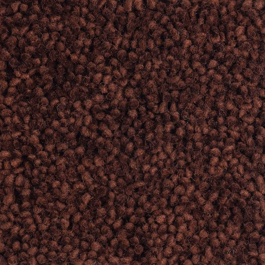 Te Aroha - 104 Orchid