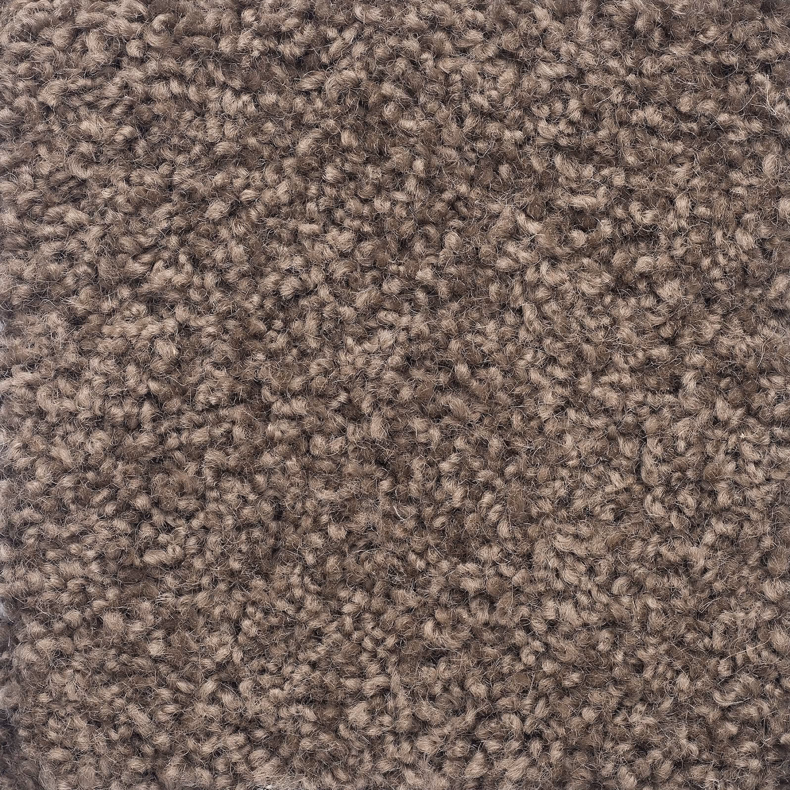 Salina - 54 Misty Taupe