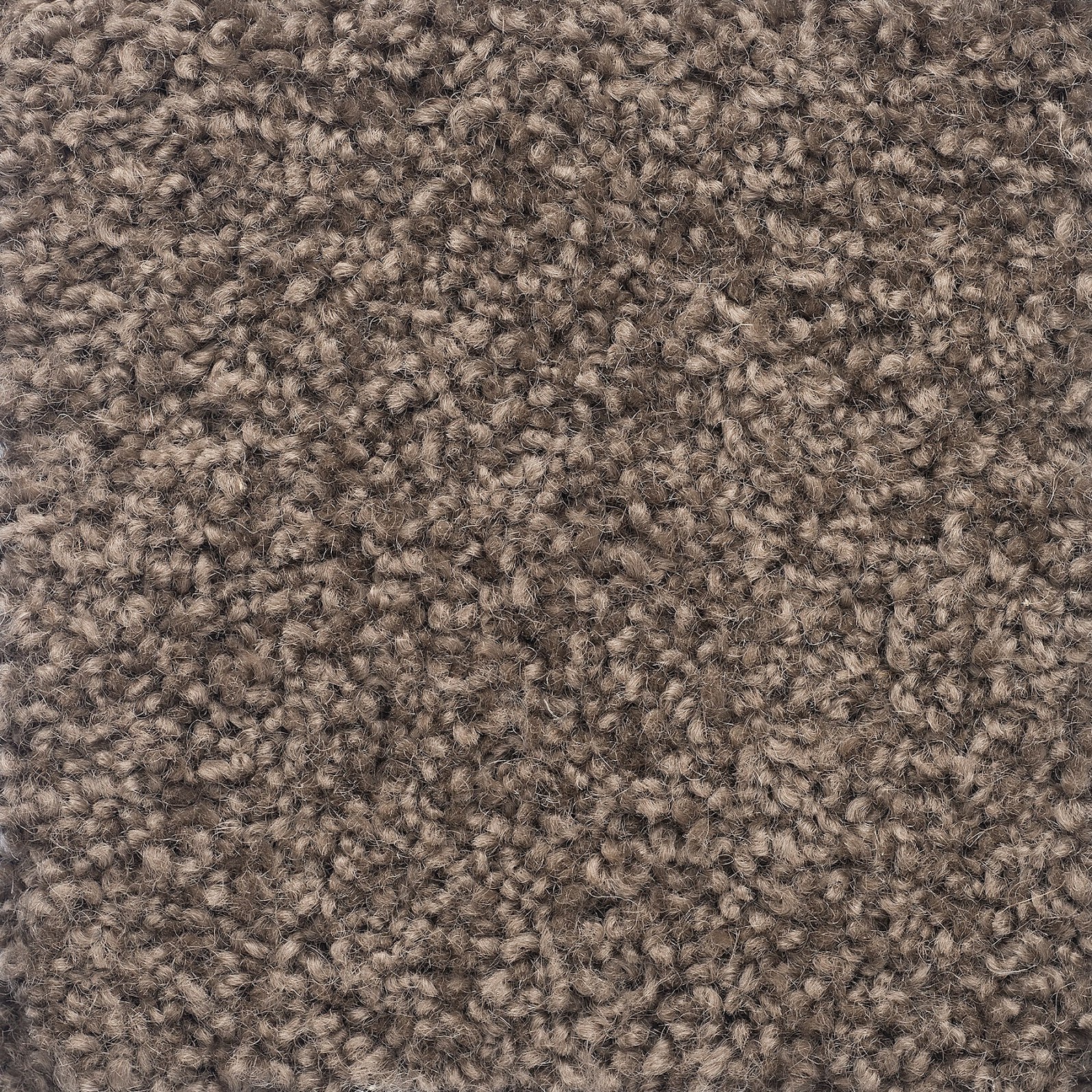 Salina - 54 Misty Taupe