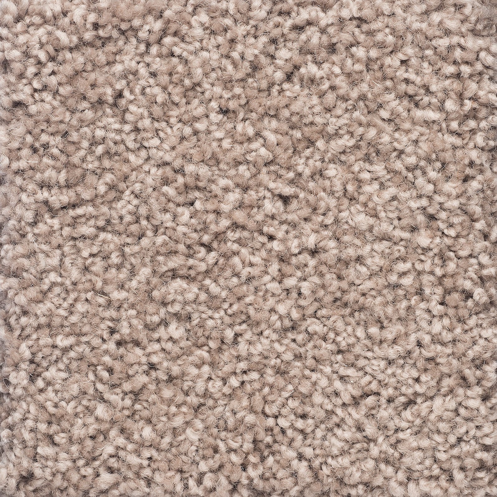 Salina - 4 Satinwood