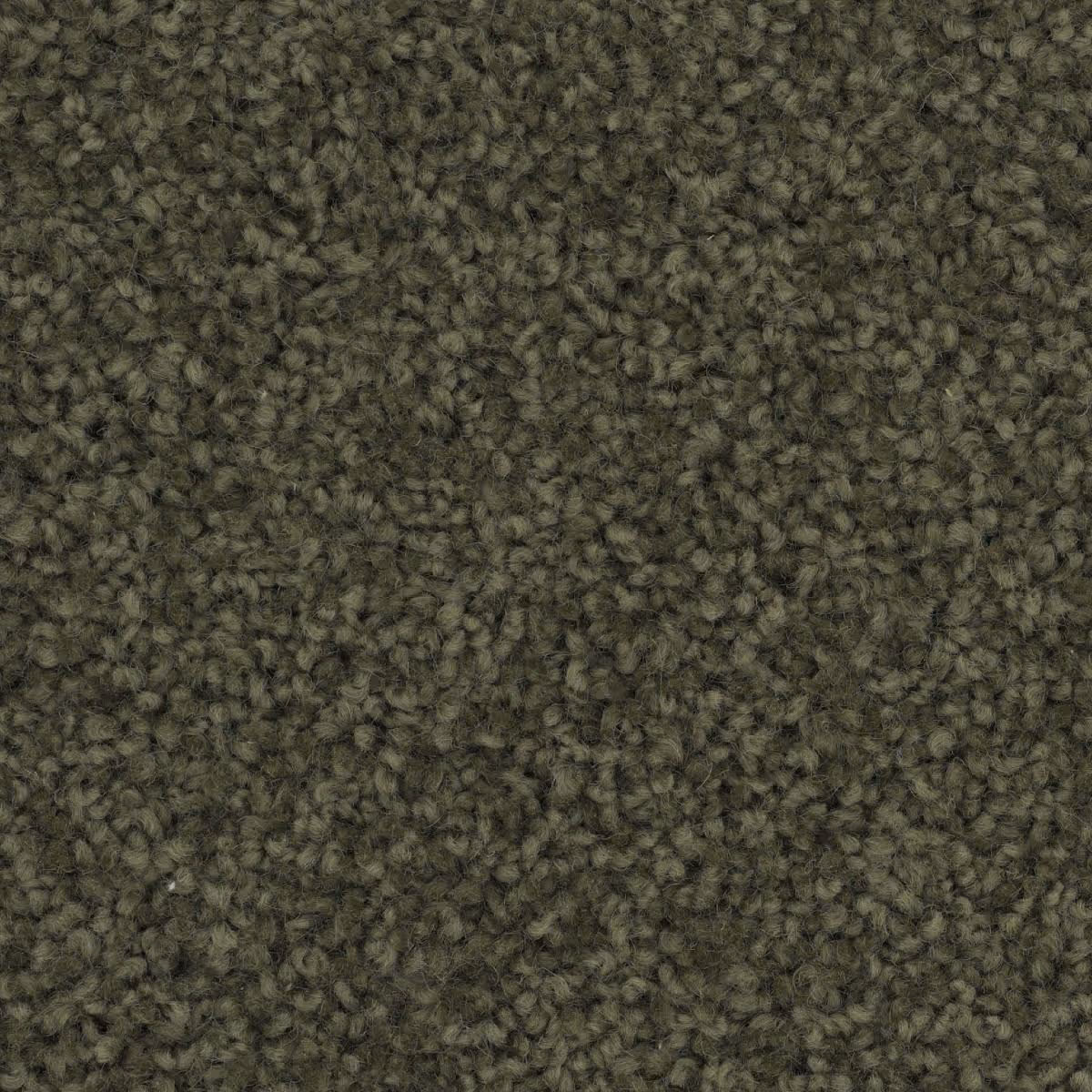 Salina - 313 Woodland