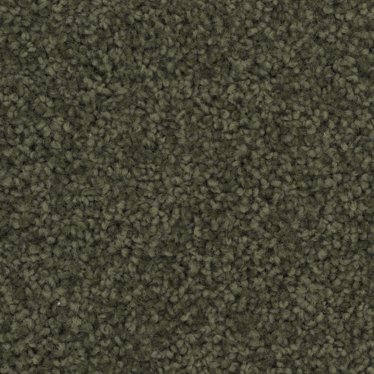 Salina - 313 Woodland