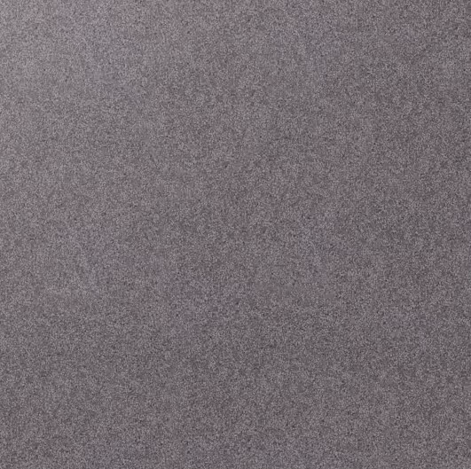 Glenorchy - 758 Pipit Bird