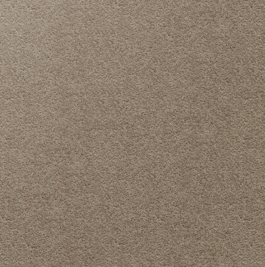 Mt Nicholas - 905 Greywacke