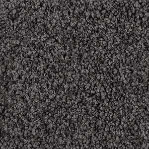 Broadbeach - 761 Cockle