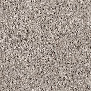 Broadbeach - 920 Anchovy