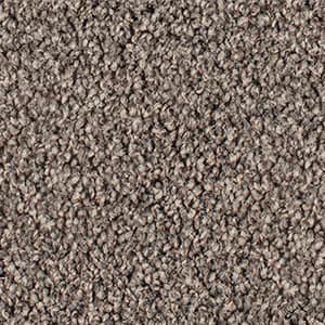 Broadbeach - 730 Truffle