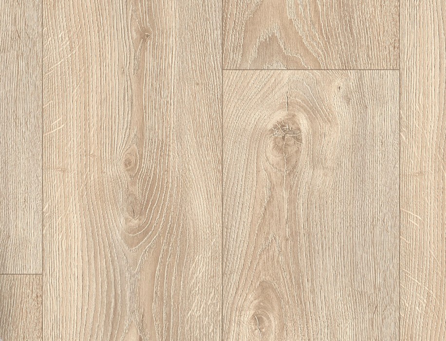 Vanguard 2m - Canvas - 300