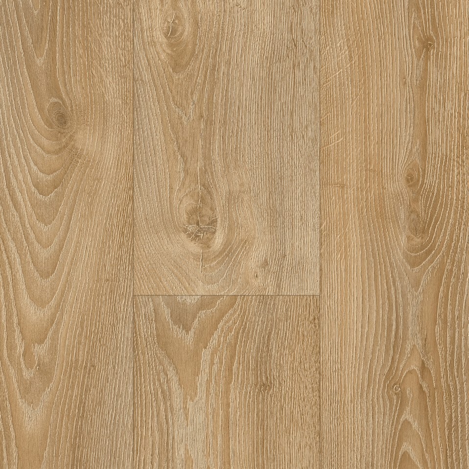 Origin Max - 360 Acacia