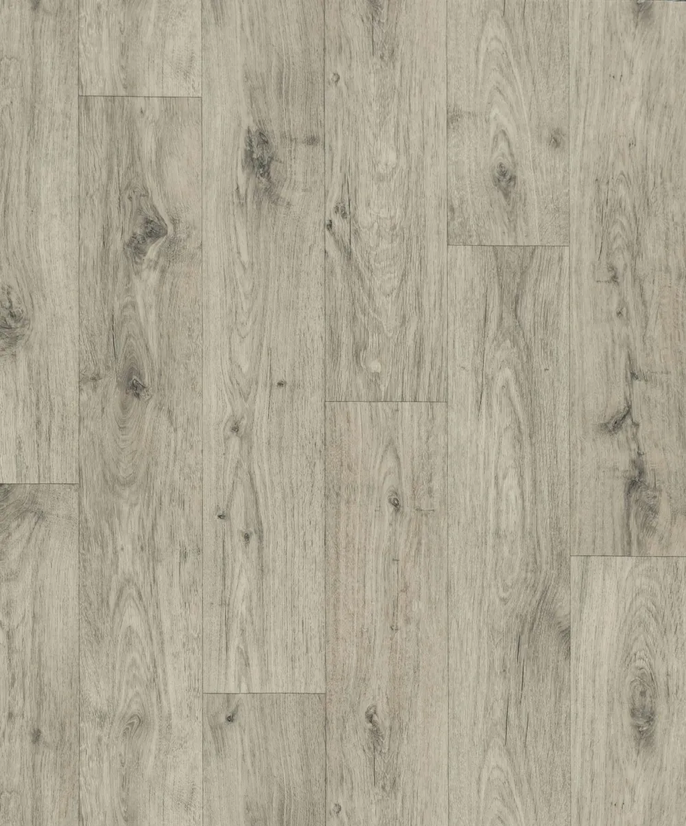 Pioneer 2m - Ohrid Oak S33