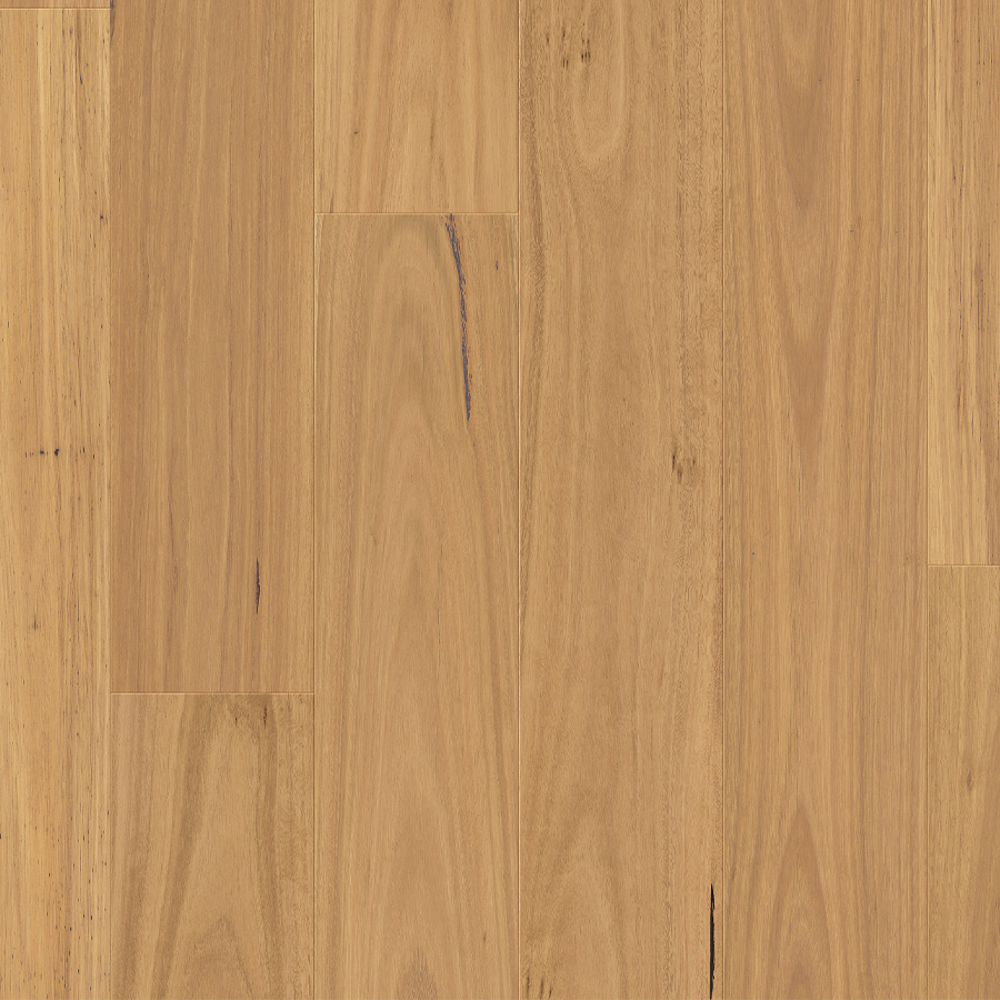 Clix XL 061 Natural Blackbutt
