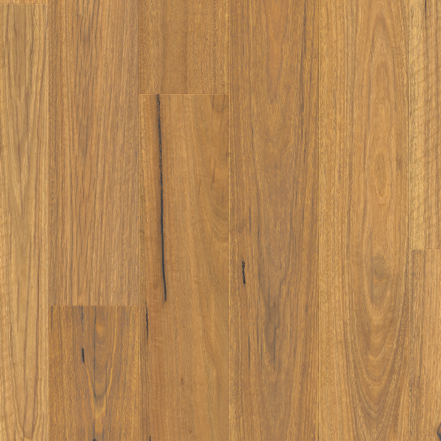 Clix XL 062 Natural Spotted Gum