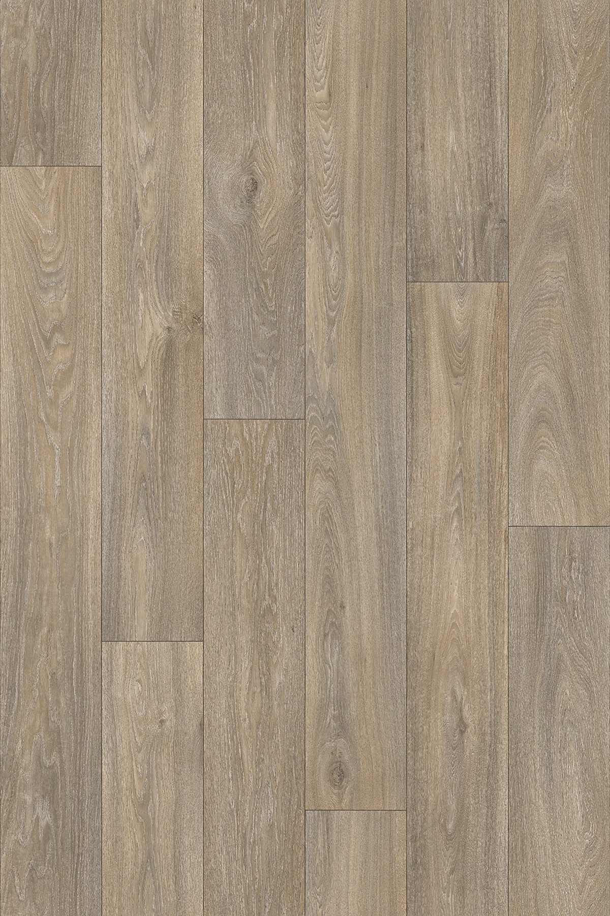 Urban 2m - 613M Havanna Oak