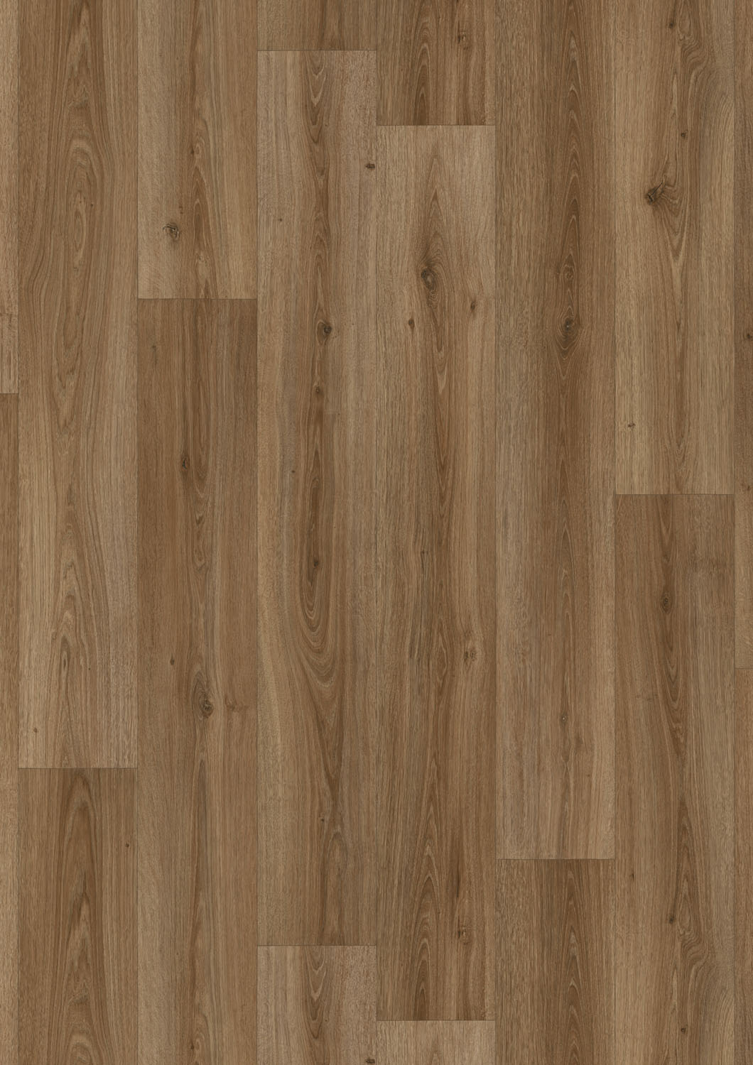 Traffic 200 2m - 0484 Powell Oak Chestnut