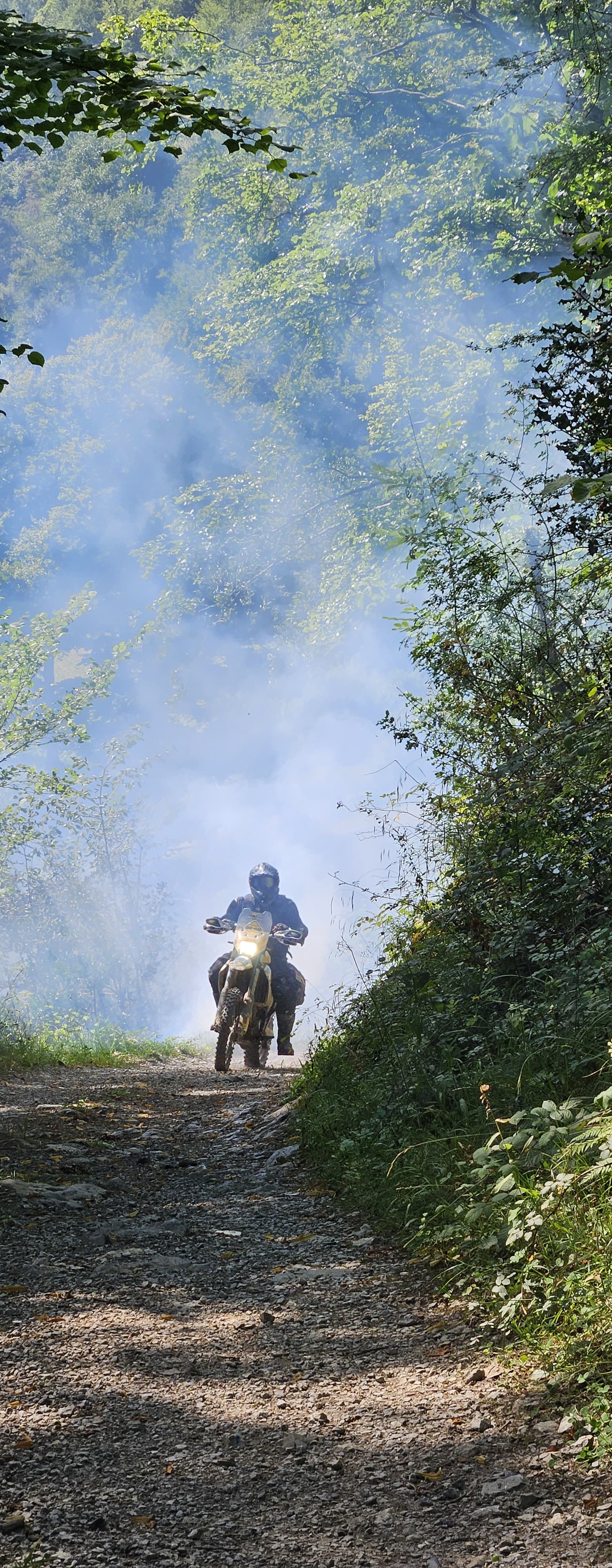 Motard trail émergeant d’un nuage de poussière sur un chemin forestier