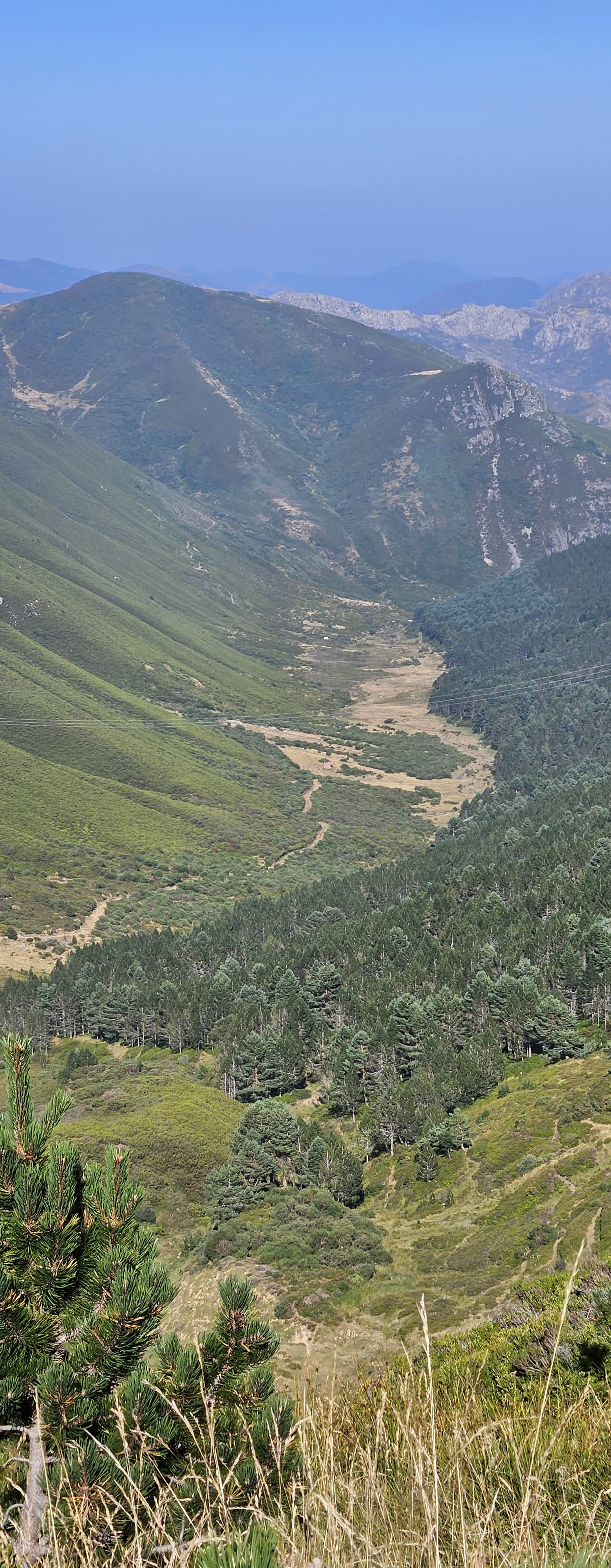Vallée de montagne verdoyante vue depuis une crête