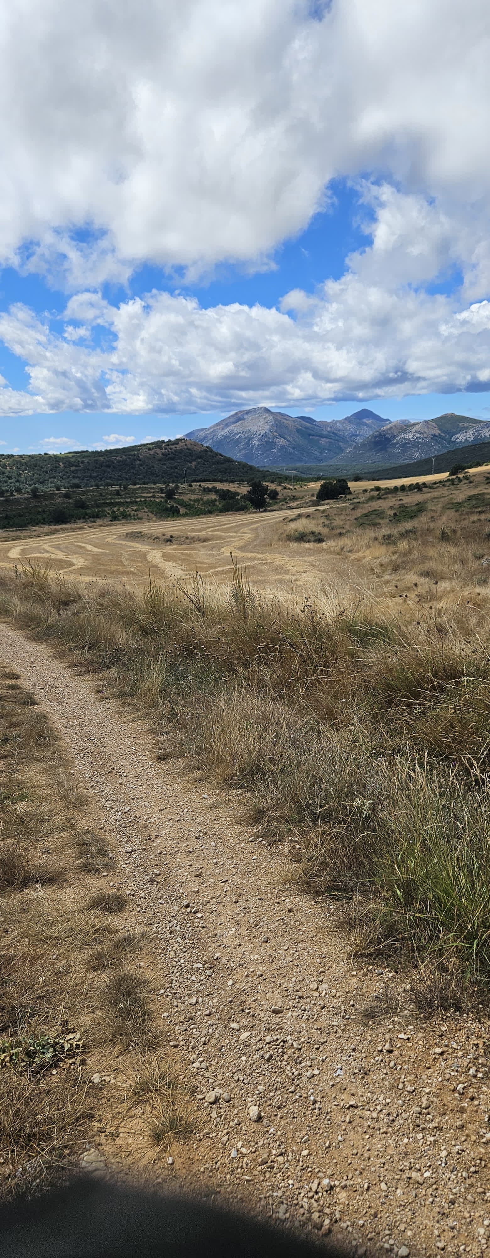 Piste de terre traversant un plateau herbeux face aux montagnes