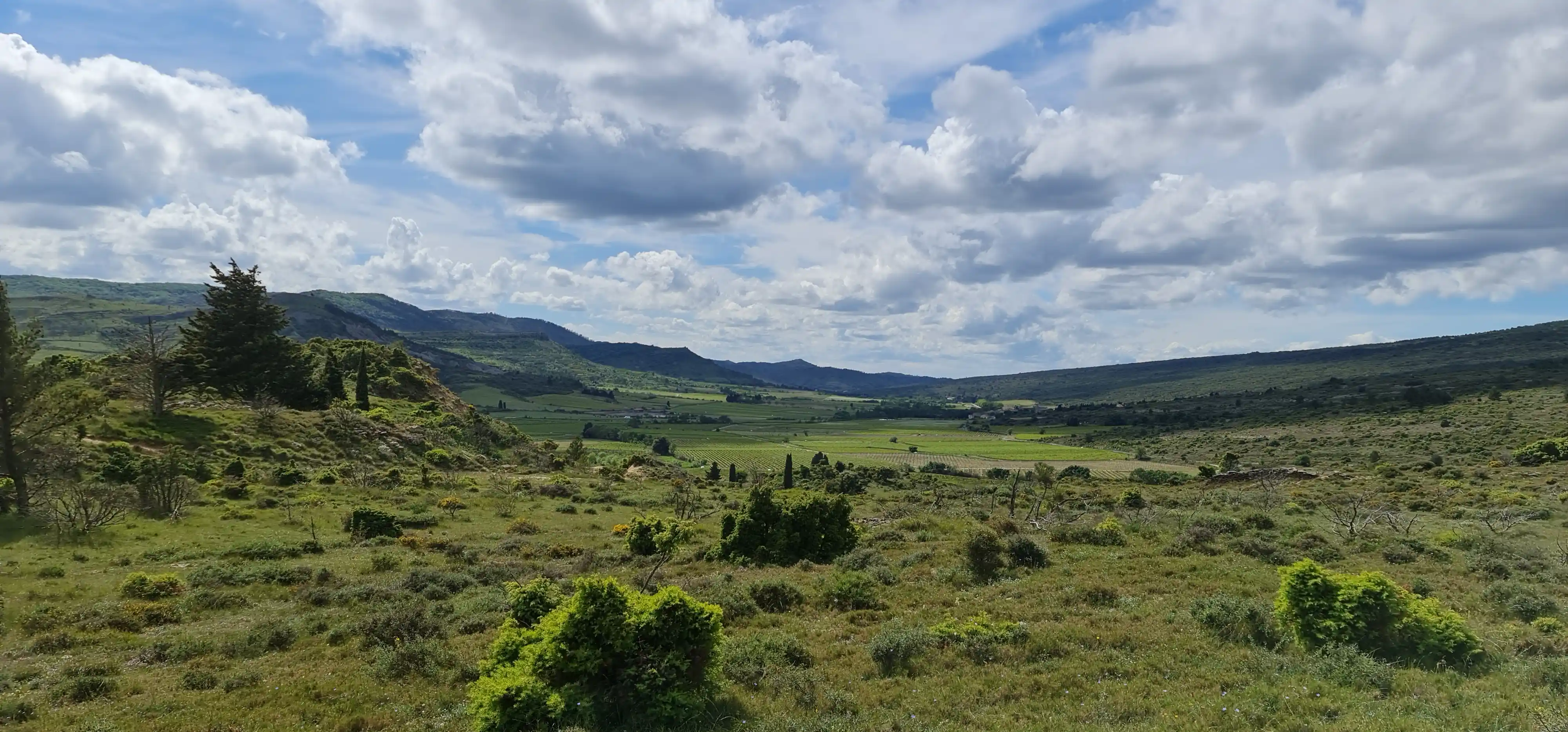 Vallée verdoyante et collines sous un ciel nuageux