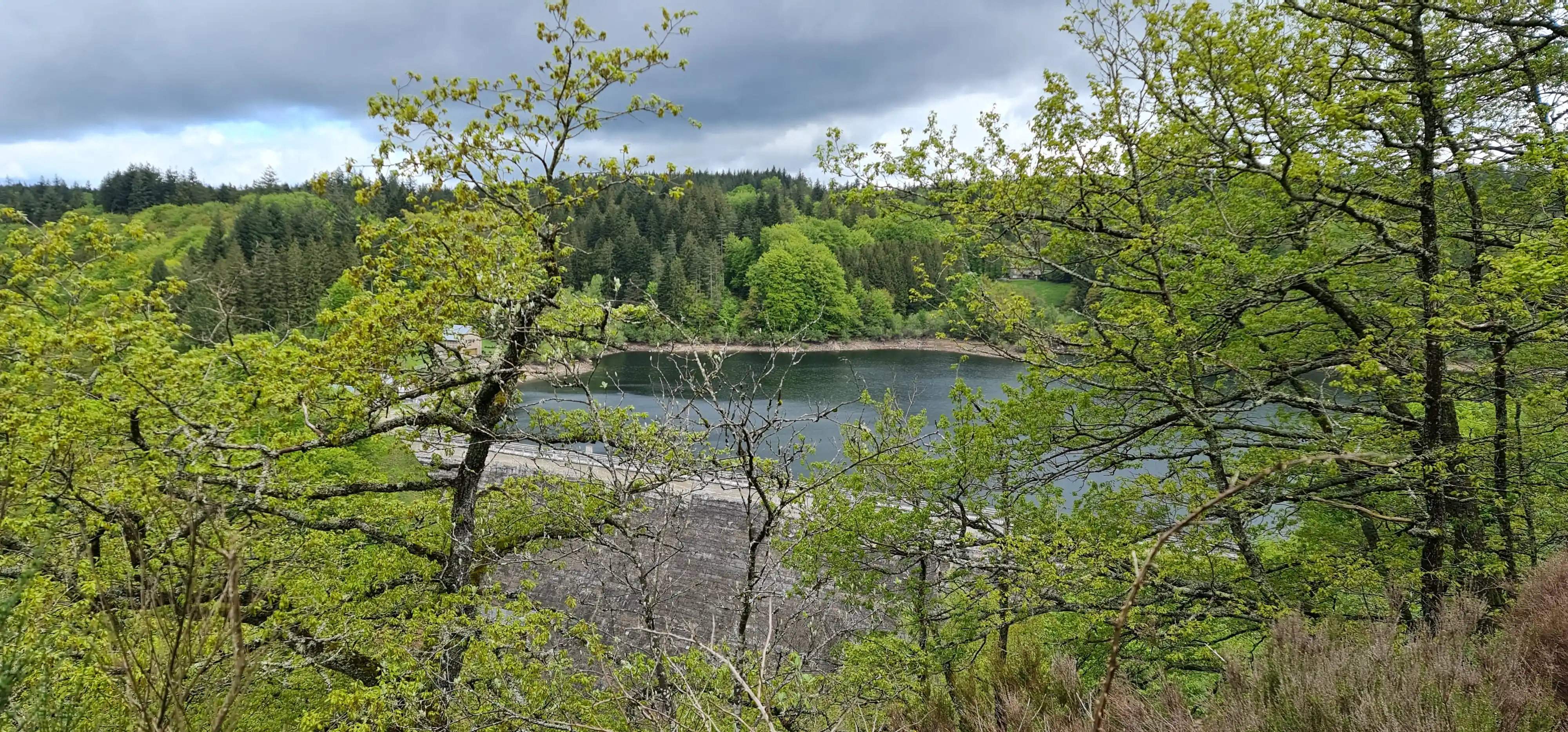 Lac de retenue aperçu entre les arbres d’une forêt
