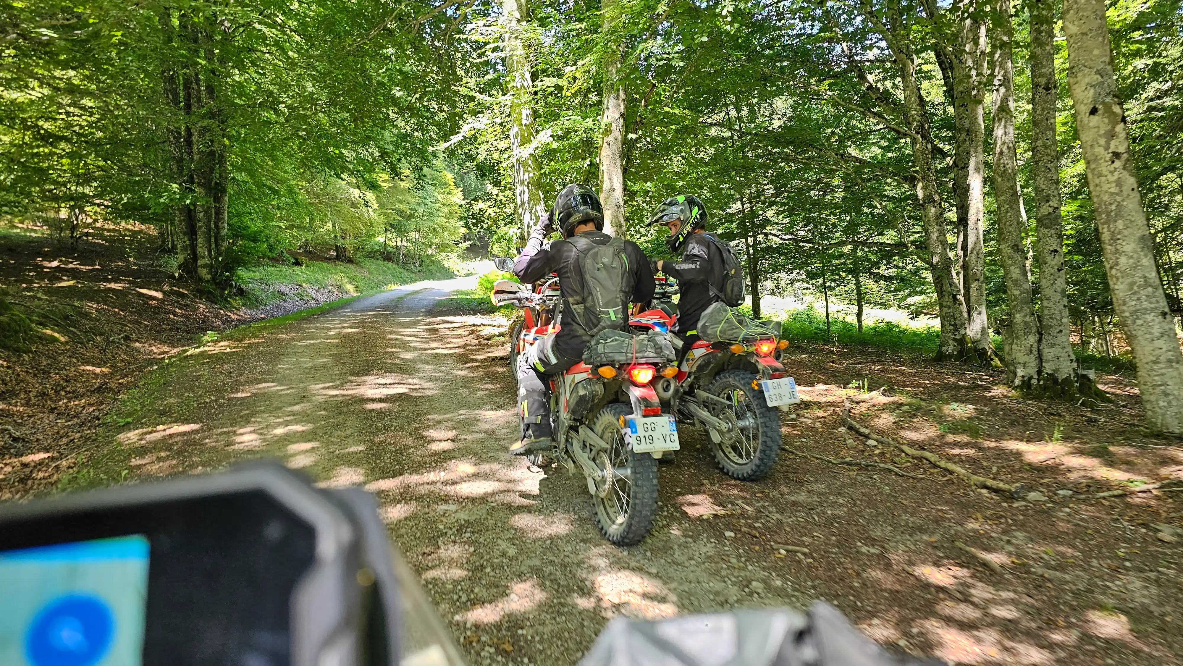 Motards trail sur un chemin forestier, vus depuis le guidon