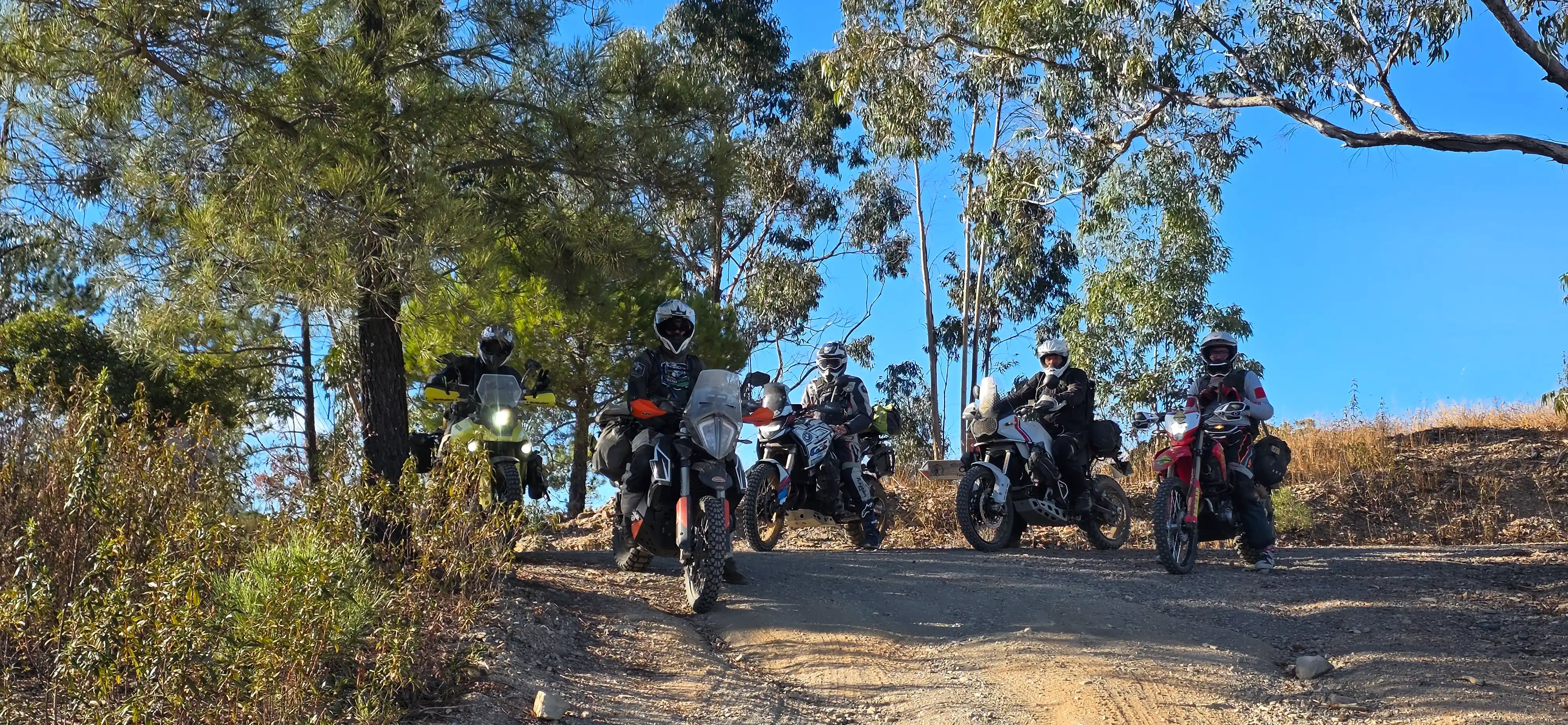 Motards trail roulant sur une piste entre les pins