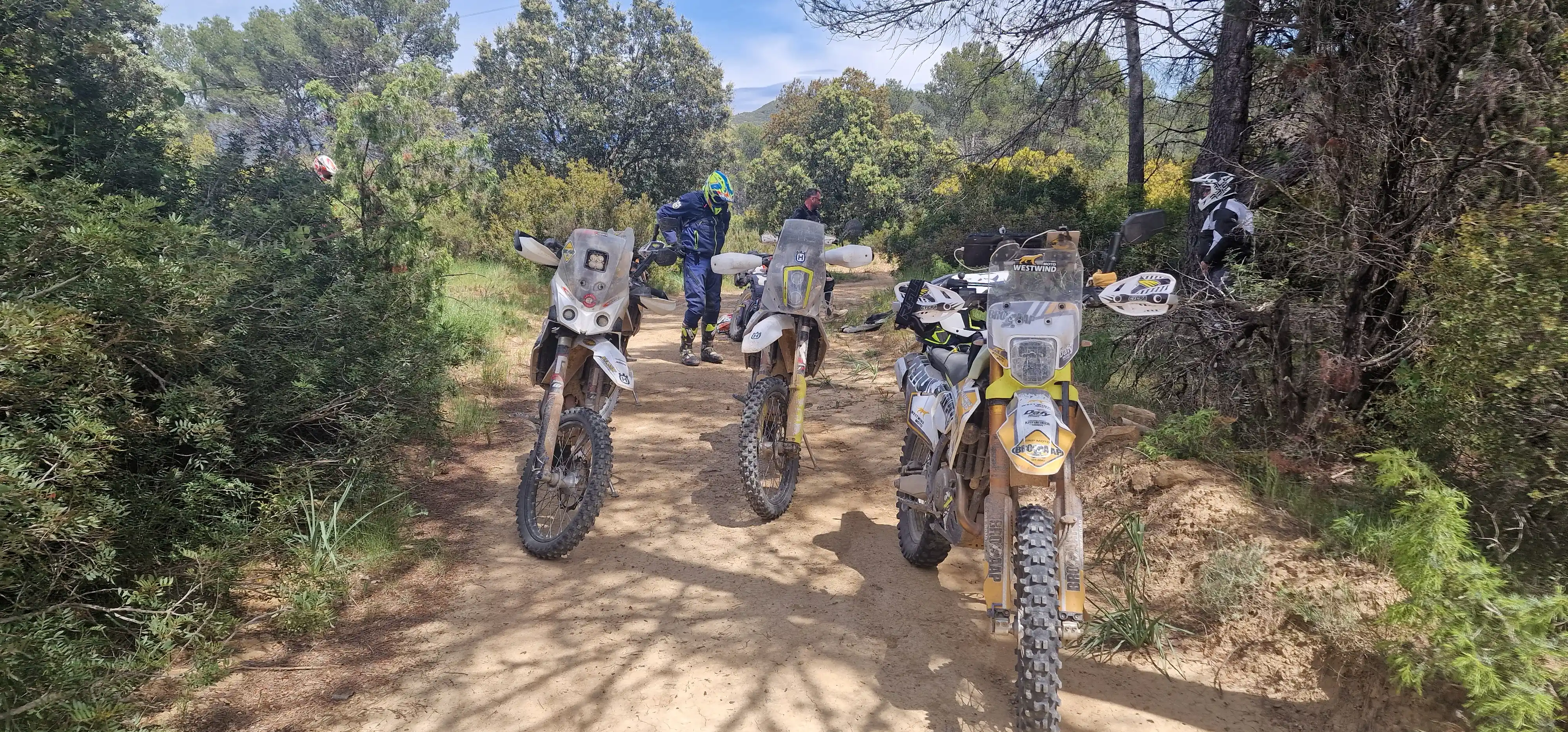 Motos trail garées sur un sentier ombragé en forêt