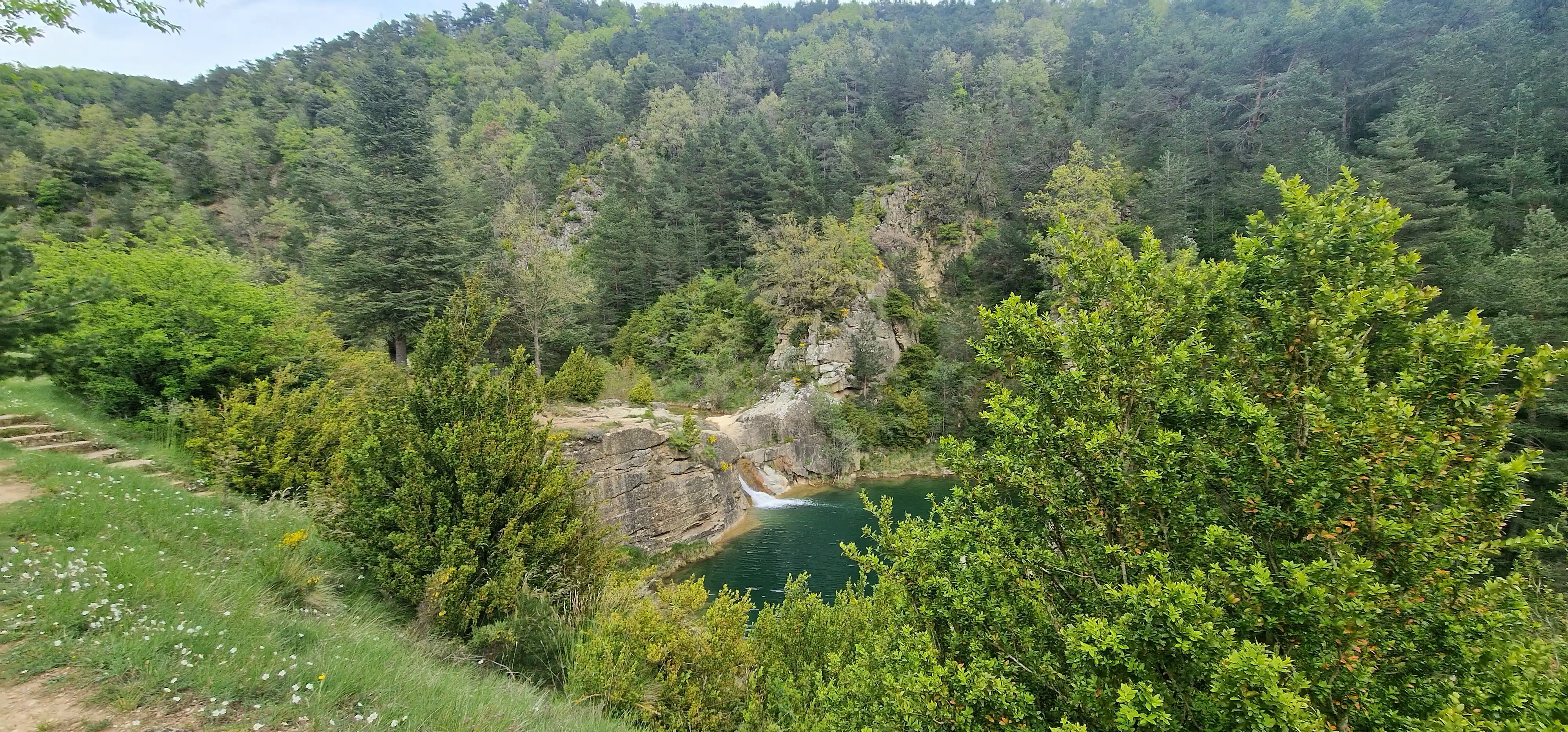 Cascade et bassin vert au creux d’une forêt