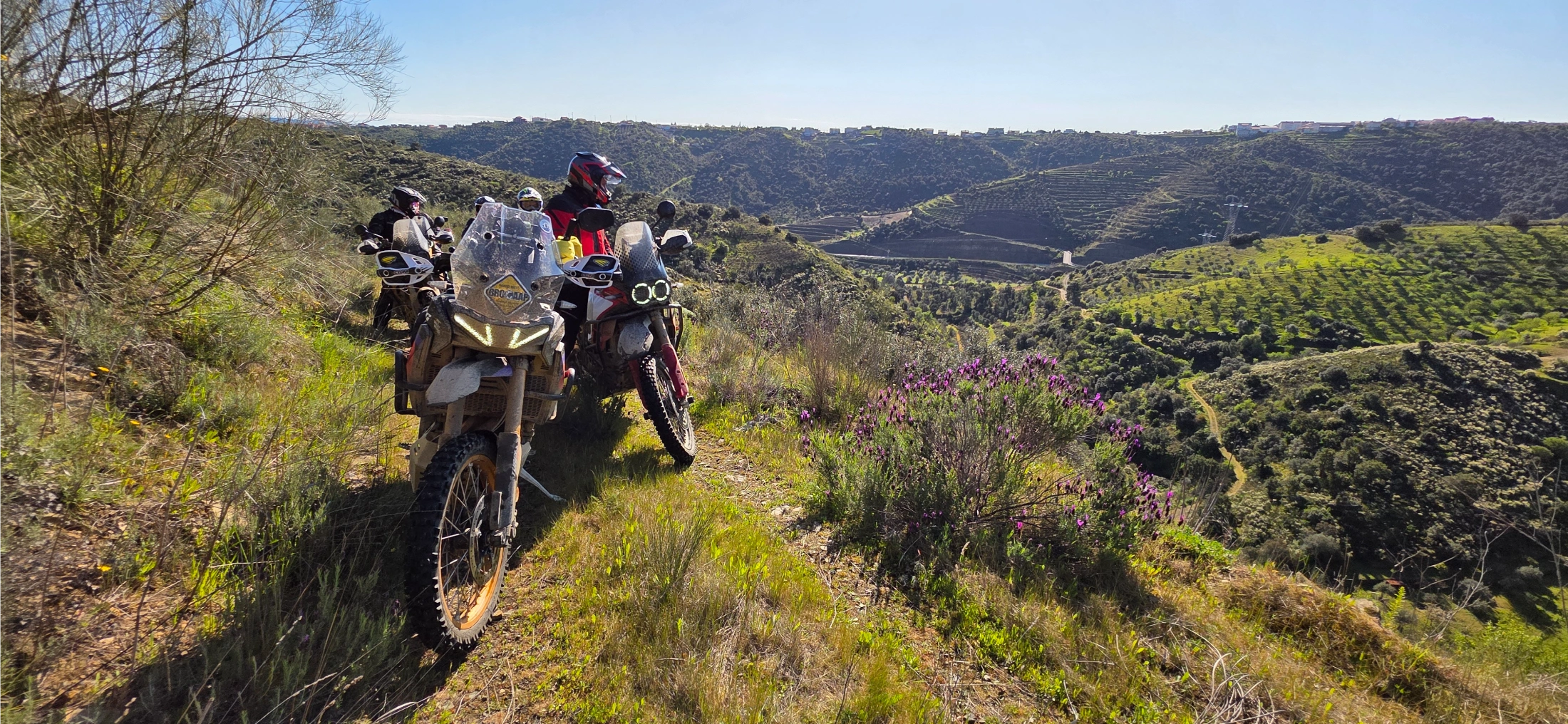 Motard sur sa moto trail chargée sur un sentier dominant les vignes