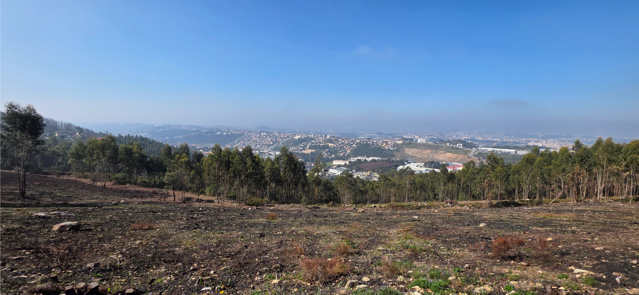Ville dans la plaine vue depuis une colline déboisée au Portugal