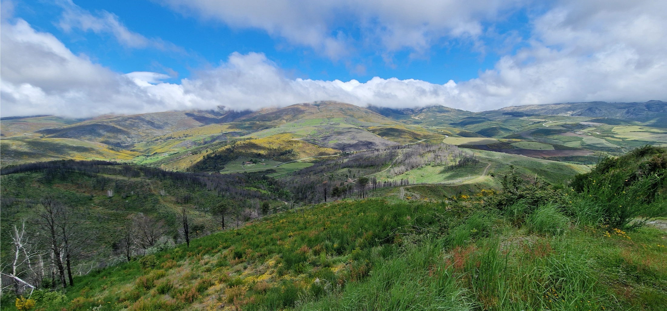 Collines verdoyantes à perte de vue sous un ciel nuageux