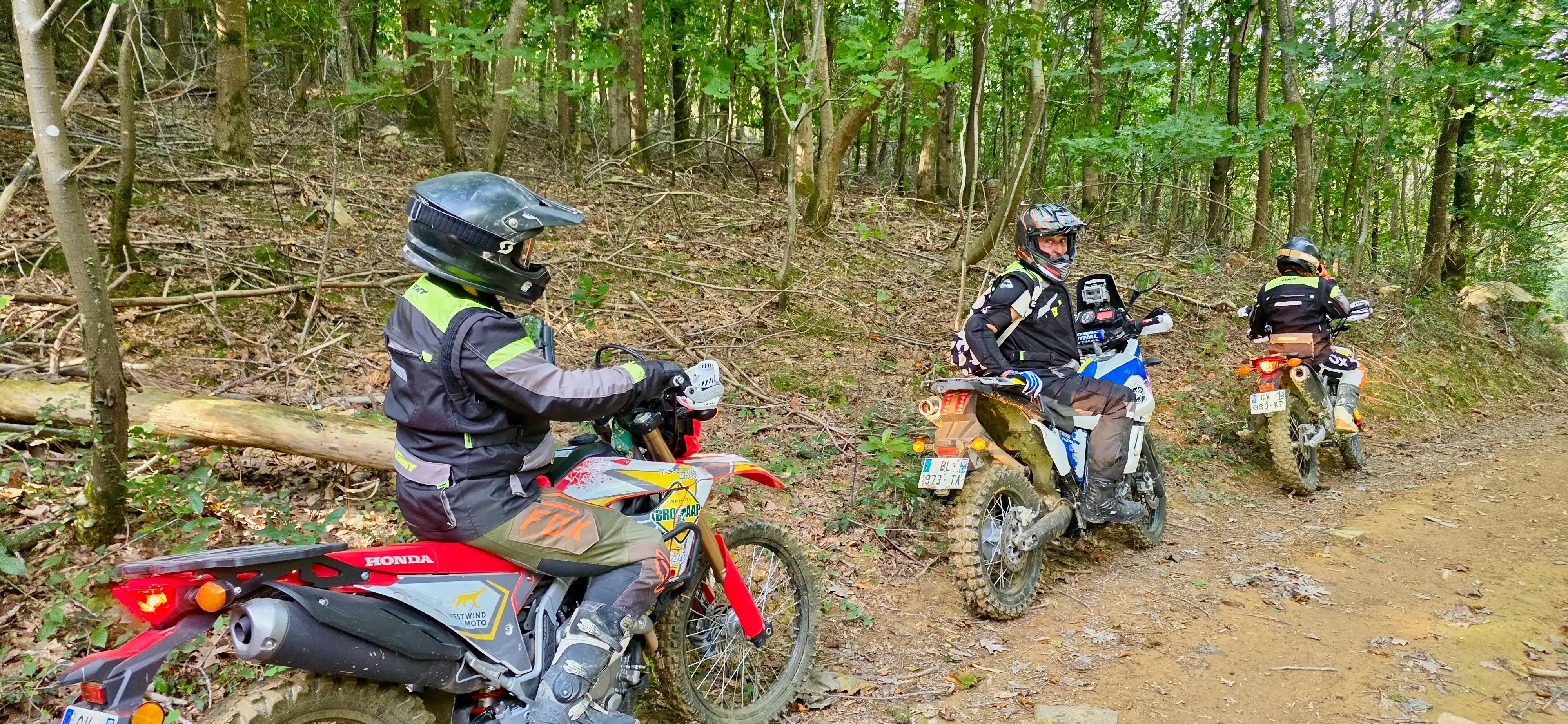 Motards d’enduro sur un sentier en sous-bois lors d’une journée découverte