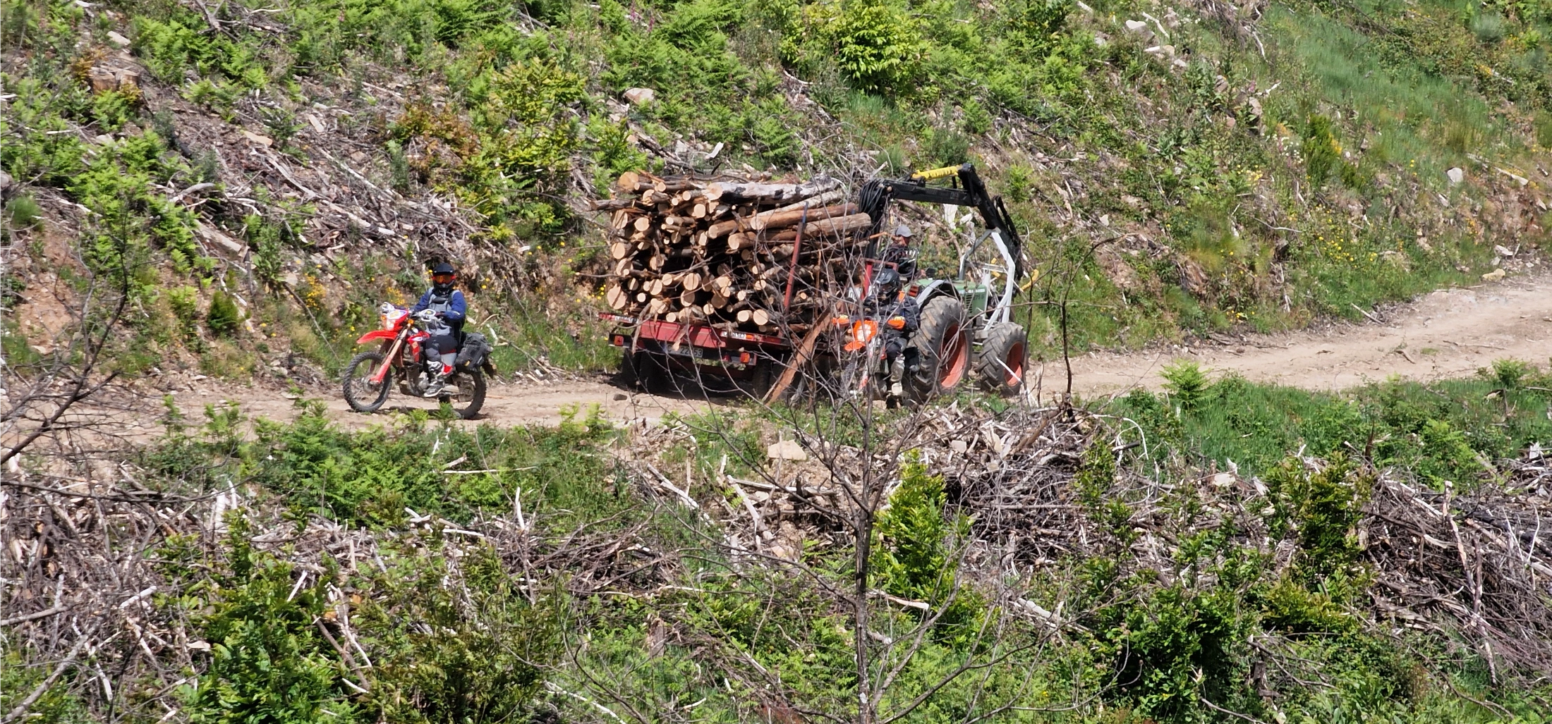 Motard d’enduro sur un sentier près d’un tas de bois coupé