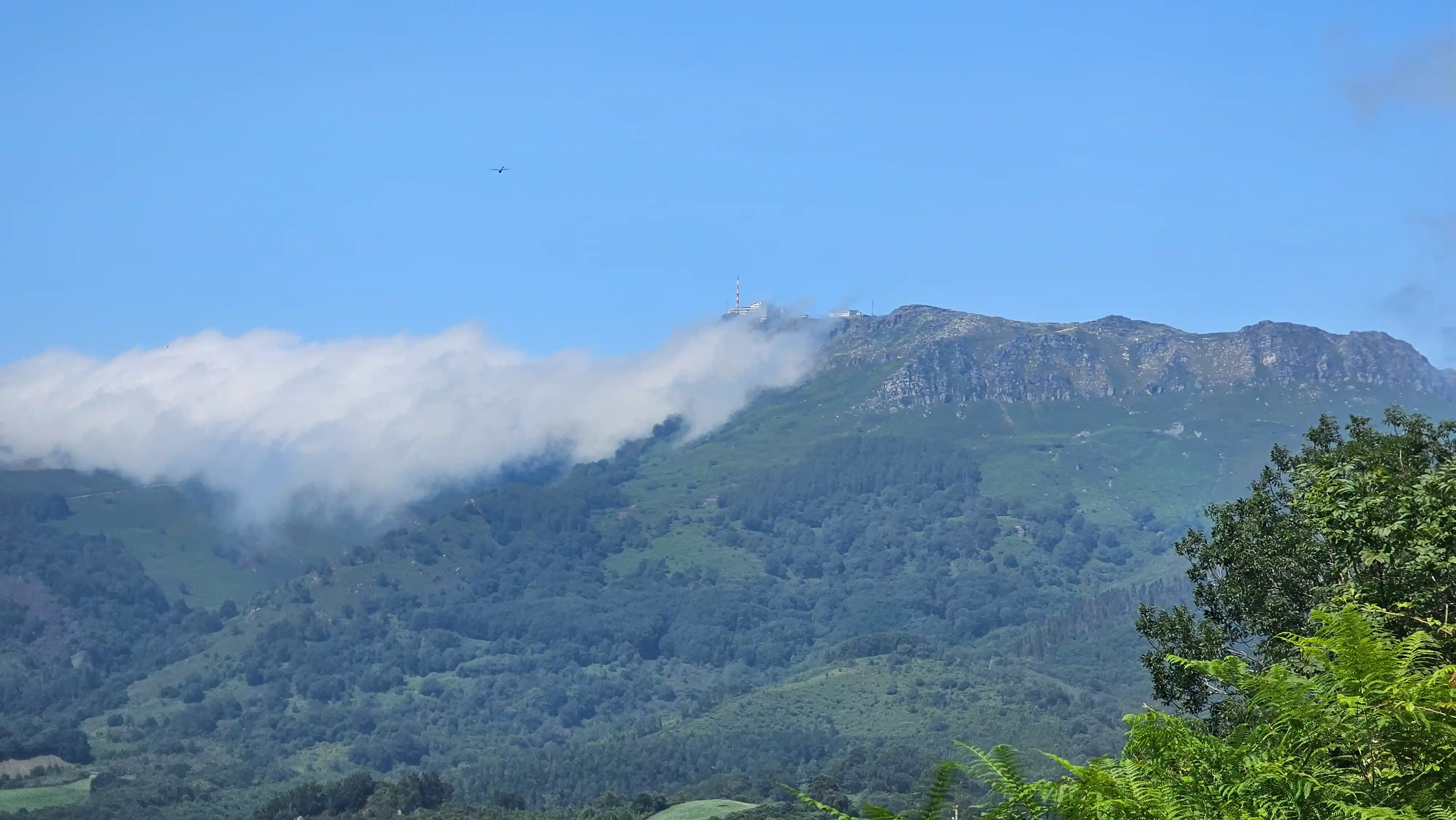 Nuages accrochés à une crête boisée sous un ciel bleu